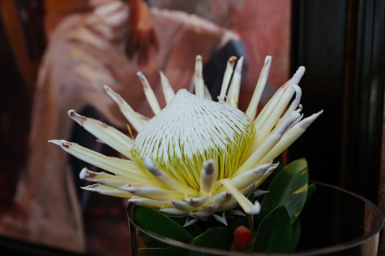 Terra Casa Guesthouse Rustenburg Luaran gambar